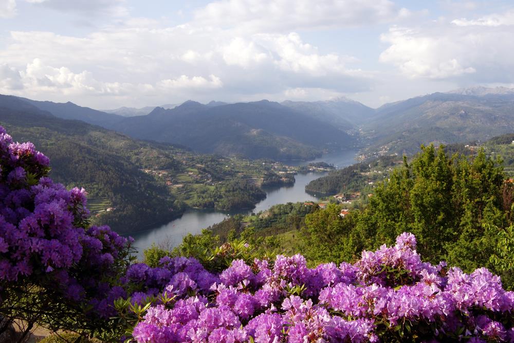 håndled Gooey klo Charm, History, Nature: Understanding the Pousadas of Portugal