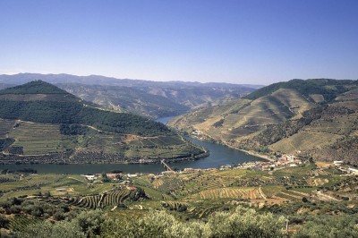 Douro river - Douro cruises