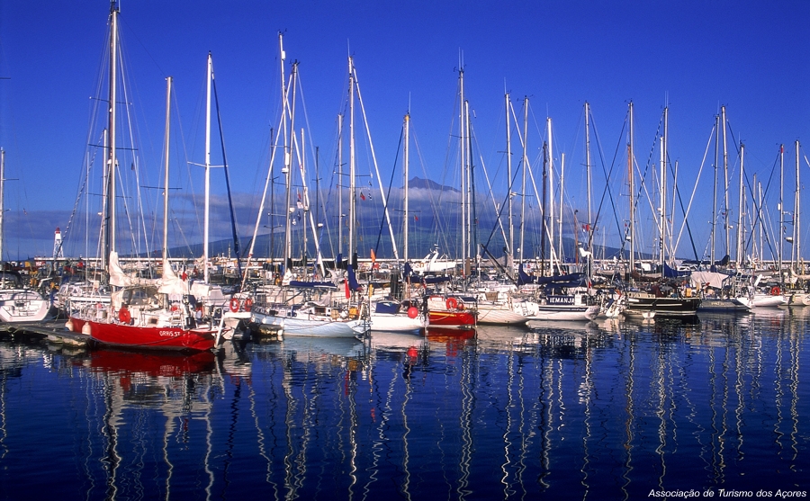 Faial island marina - The Azores