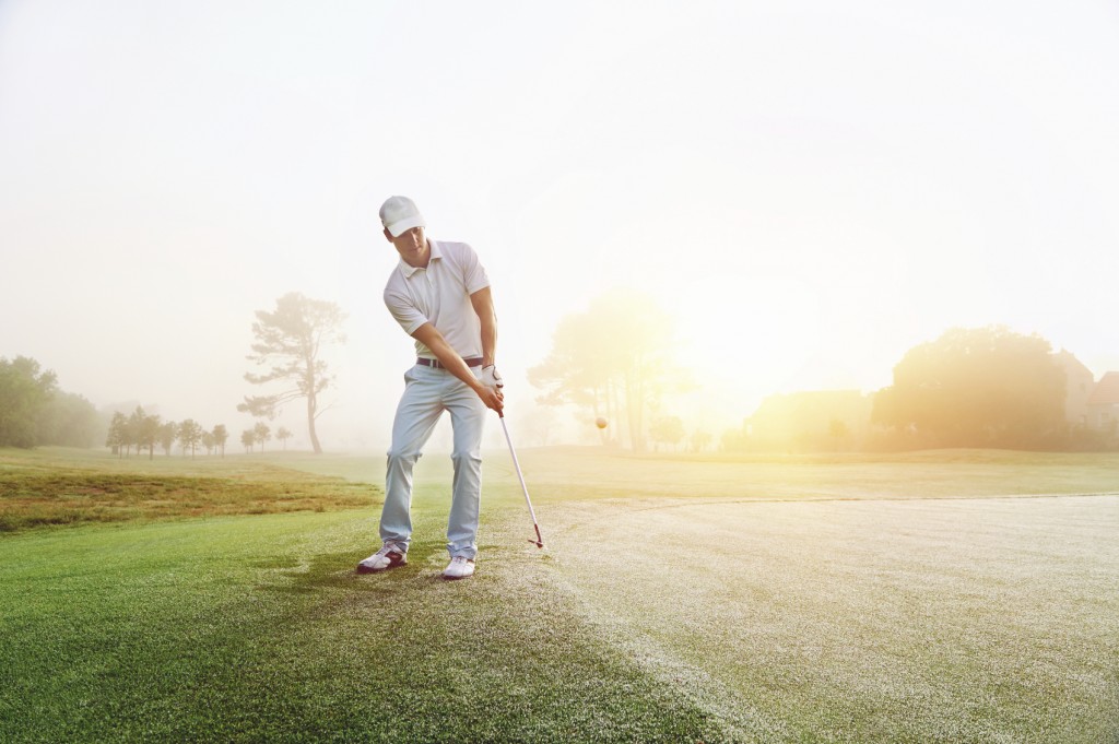 chip shot golf