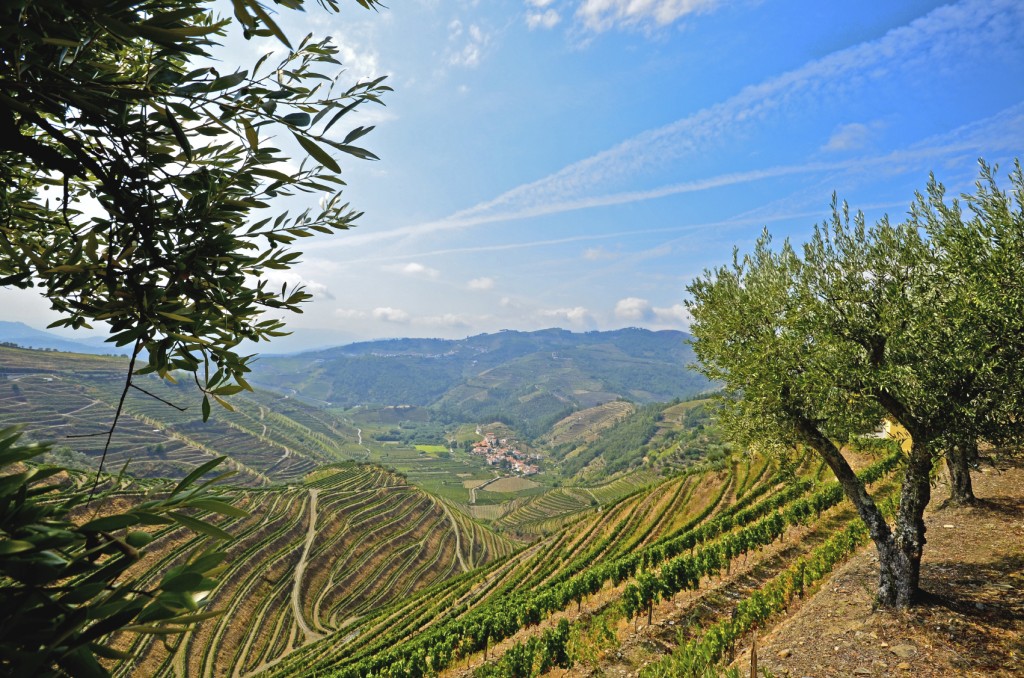 Douro Valley  iStock_000055472746_Medium