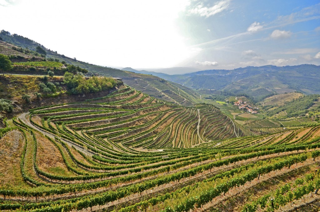 Douro Valley Vineyards iStock_000073850023_Medium