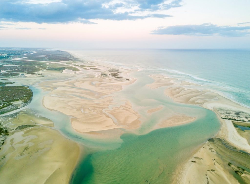 Ria Formosa Lagoon, thing to do in Faro