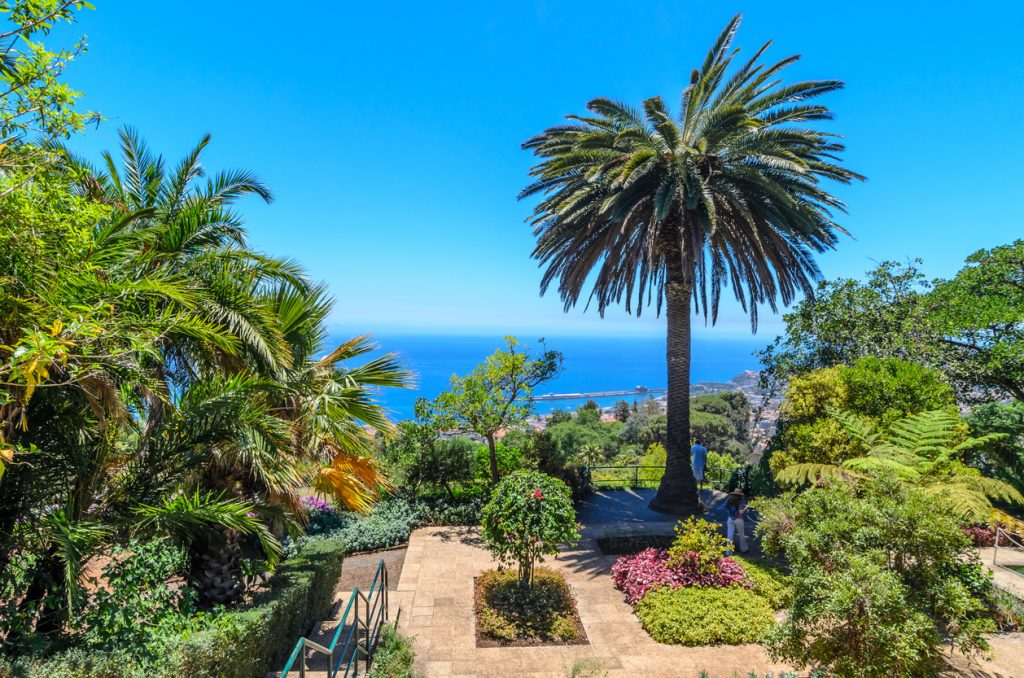 Exotic landscape in the city of Funchal